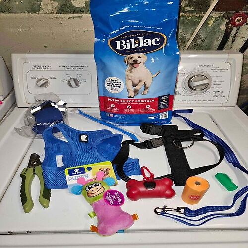 Puppy Starter Kit with Essentials