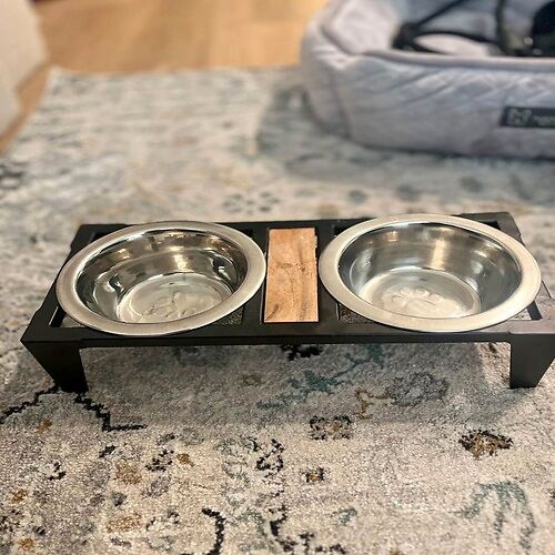 Food Tray