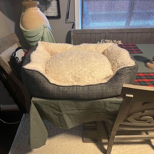 Puppy Dog Bed